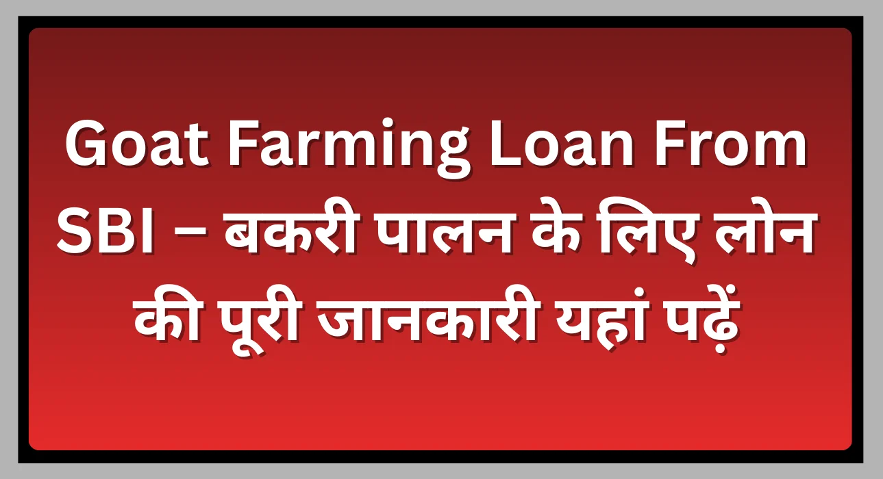 Goat Farming Loan From SBI